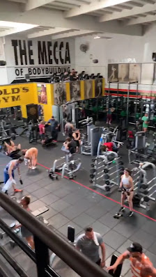 Gold's Gym Venice thumb 5